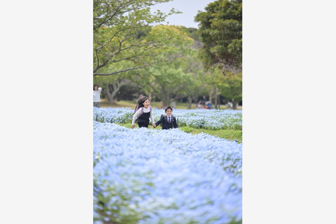 吉村　恵三が撮影した写真のアルバム「ファミリーフォト」