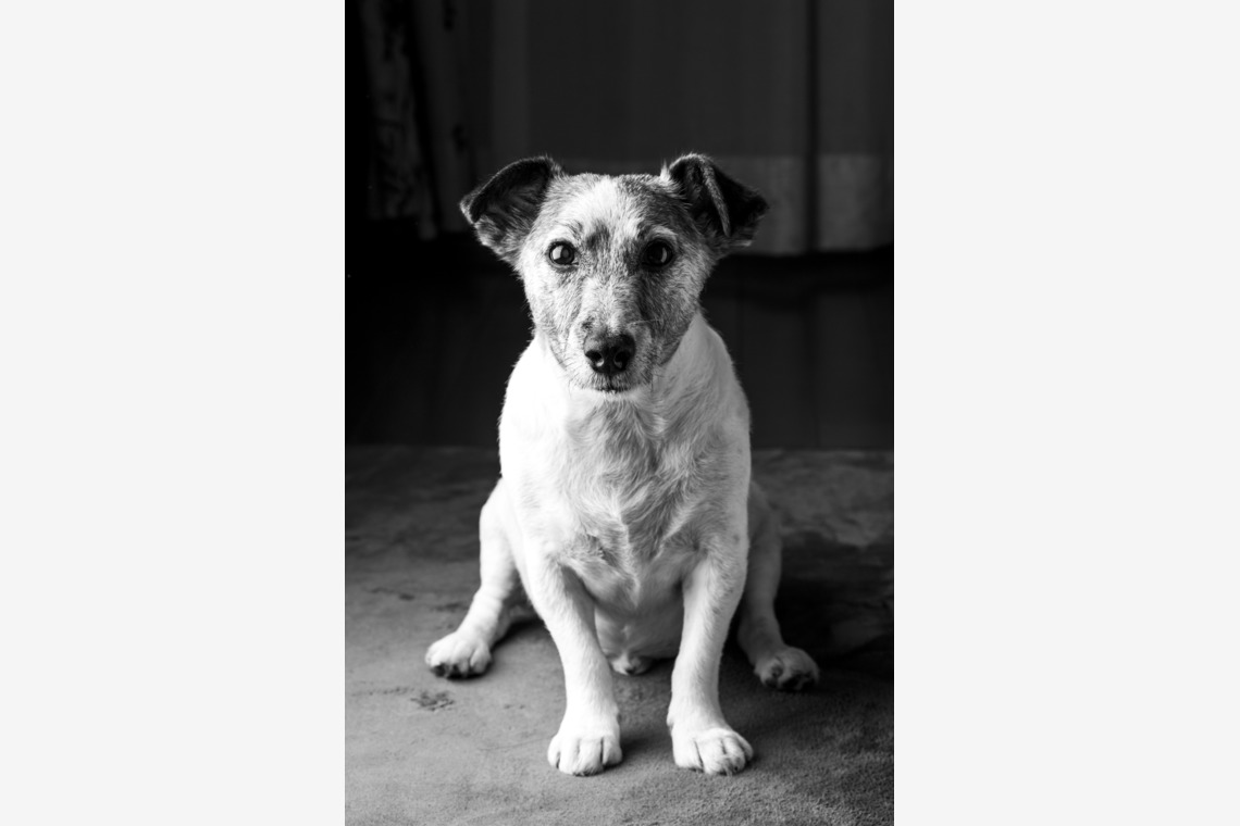 fotograz photography