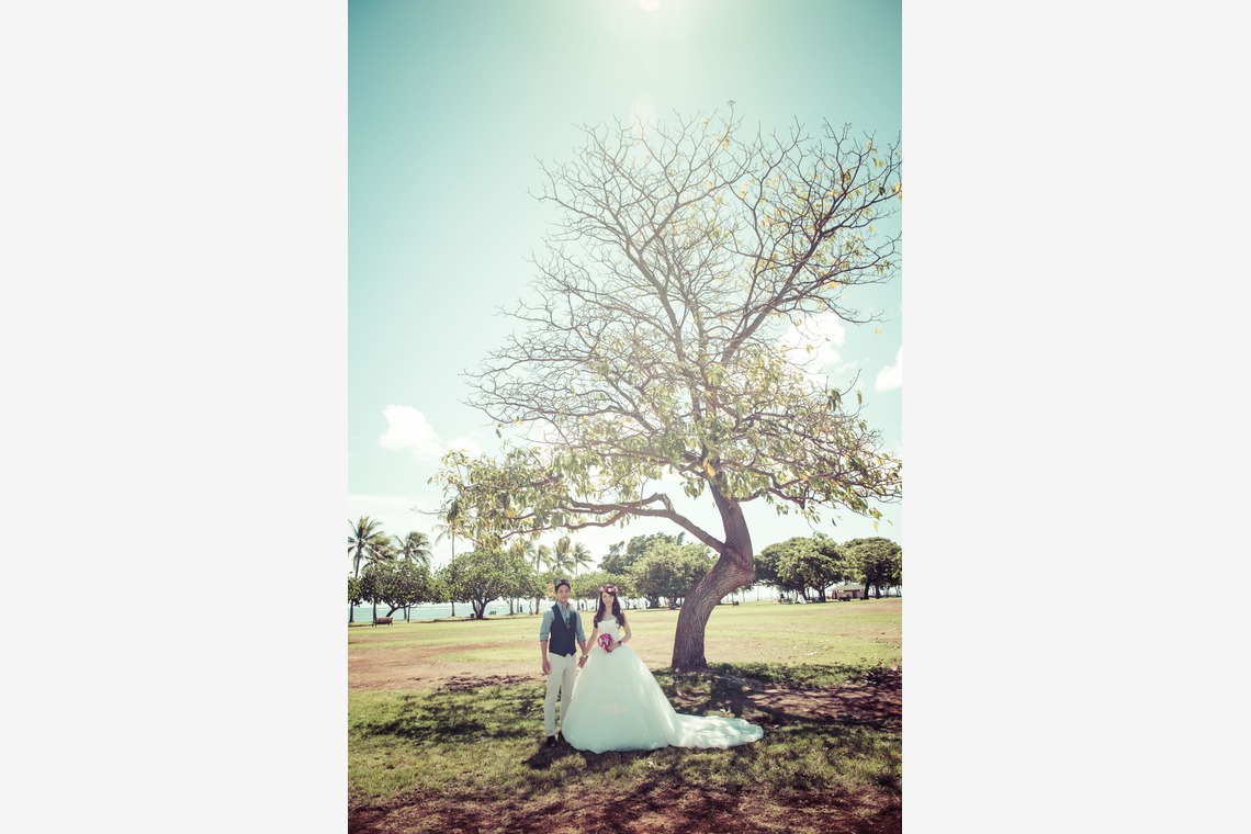 Jayson Tanega Photographyが撮影した「ホノルル　マジックアイランド」の写真