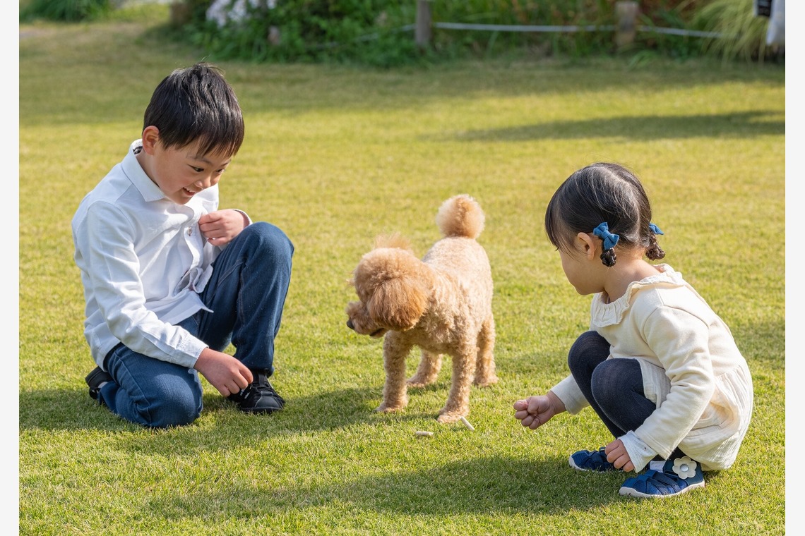 あなたの写真館が撮影した「ペット撮影」の写真