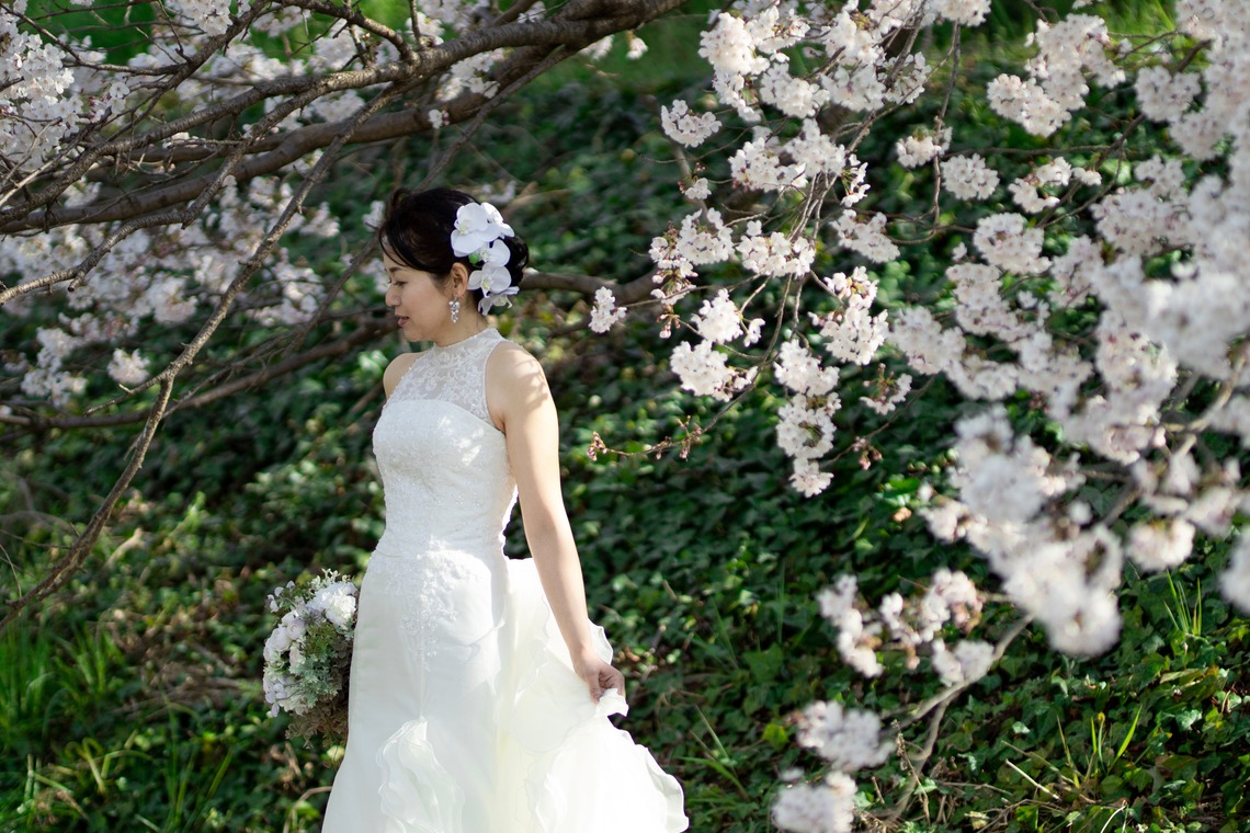 saruco(岩崎寿）が撮影した「京都和装前撮り＠桜」の写真