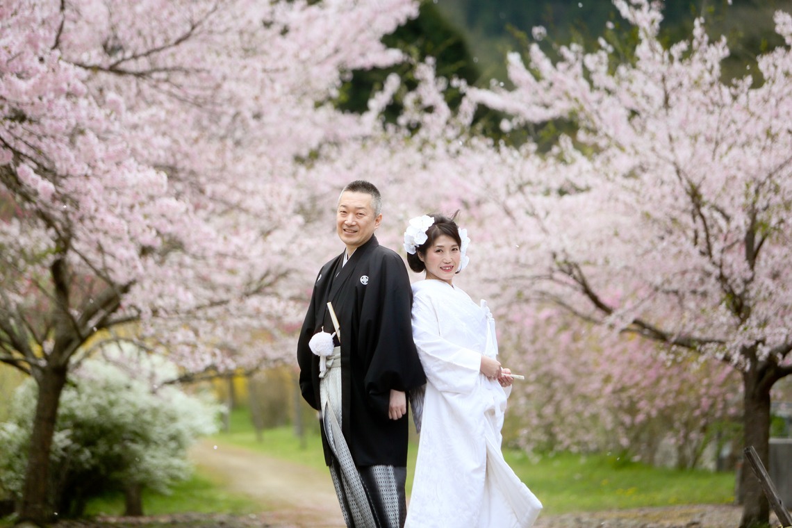 KIKIウェディングが撮影した「桜　桜　桜」の写真