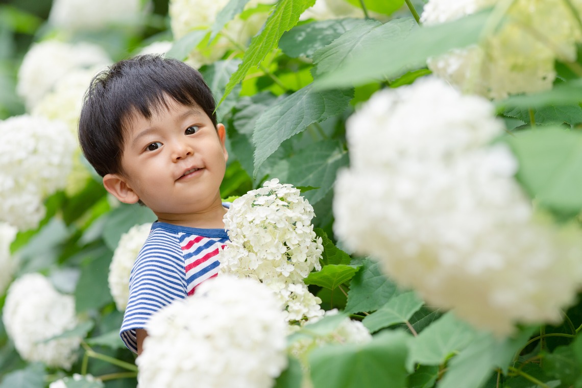 和Photographが撮影した「Family Photo」の写真