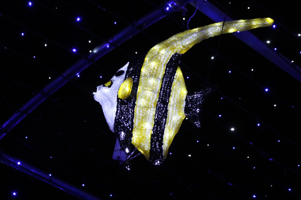 ＮＫ フォトエージェンシーが撮影した「建物・風景写真③(多摩センター駅前イルミネーション）」の写真