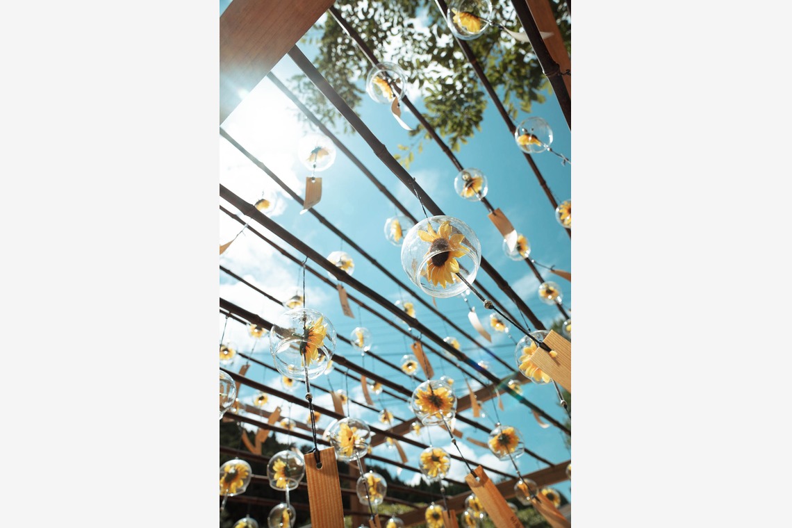 三谷 朋也が撮影した「日本の風景」の写真