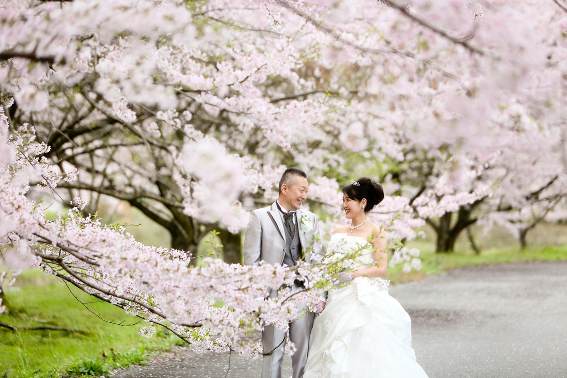 KIKIウェディングが撮影した写真のアルバム「桜　桜　桜」