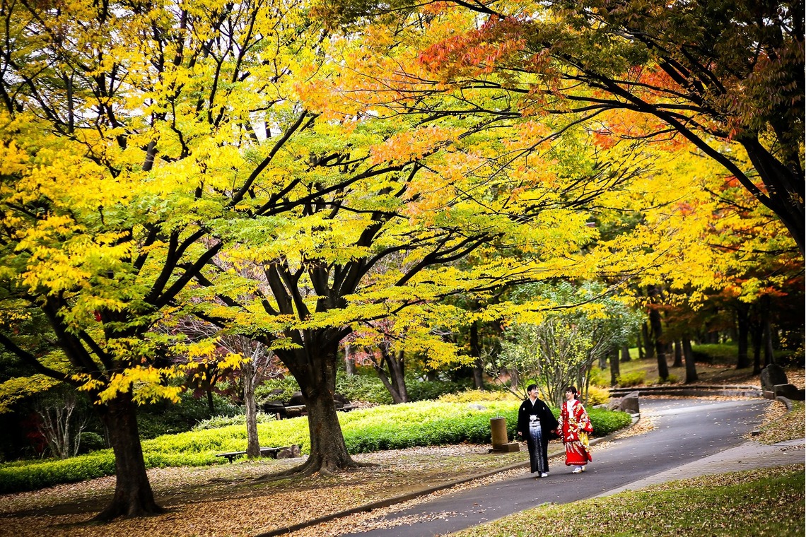 加倉井 規晃が撮影した「ロケーション・前撮り・公園・和装」の写真