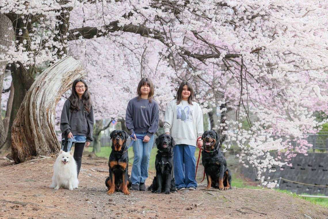 株式会社Neo-Smile 「locationbreeze」高橋 徹が出張撮影した家族写真(キッズ,ベビーフォト)などが写った「ペット」の家族写真