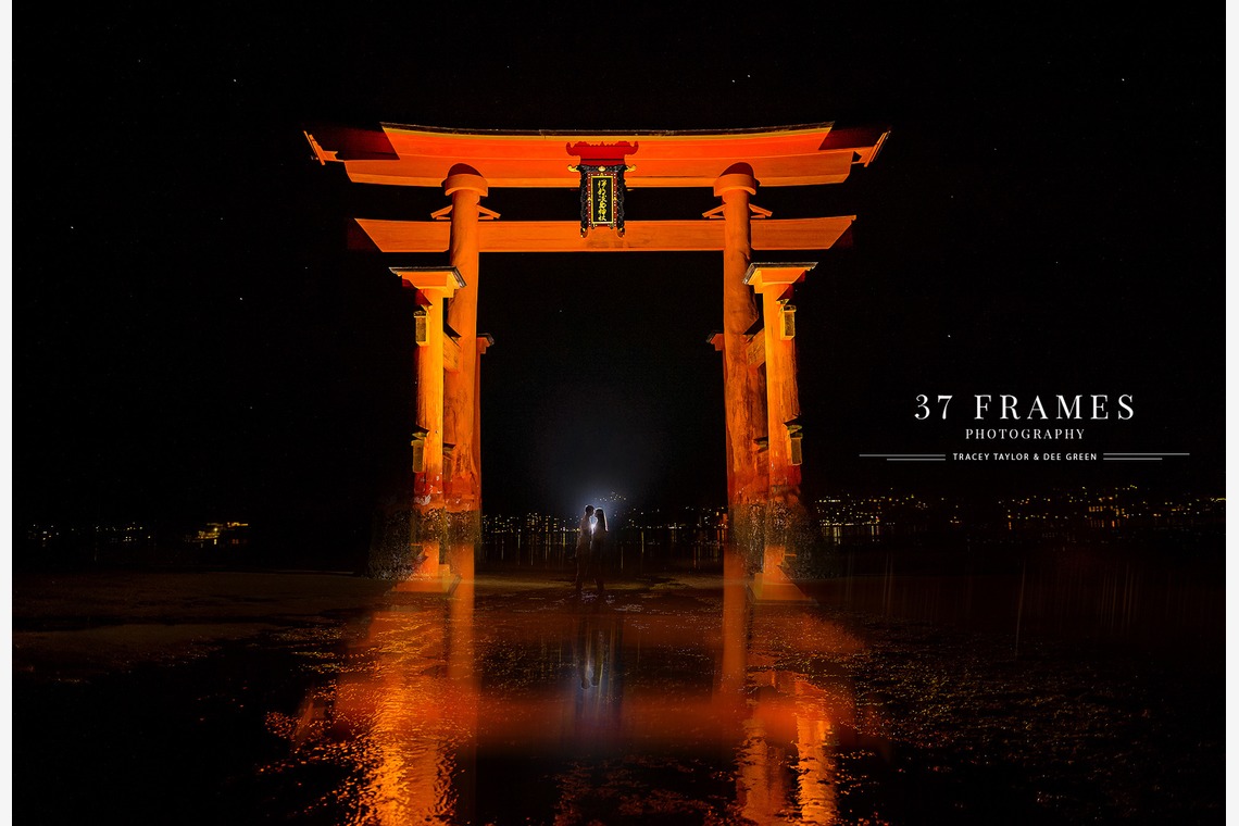 37 Frames Photographyが撮影した「フォトギャラリー」の写真