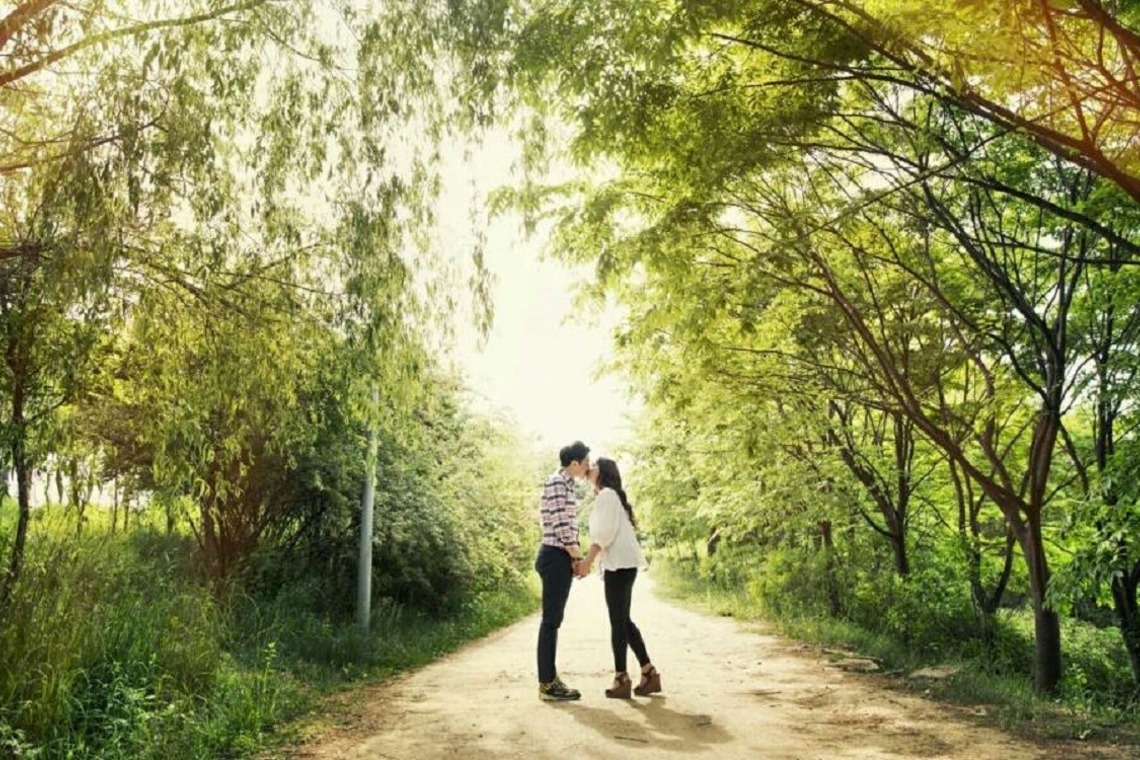 Lee bridalが撮影した写真のアルバム「ソウル市内公園ロケ」