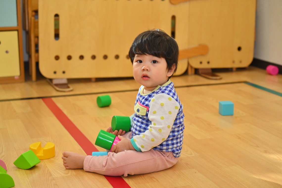 杉野優介が撮影した写真のアルバム「幼稚園撮影」