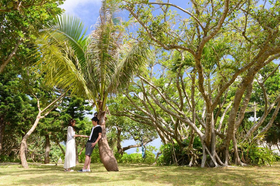 アルルウェディング