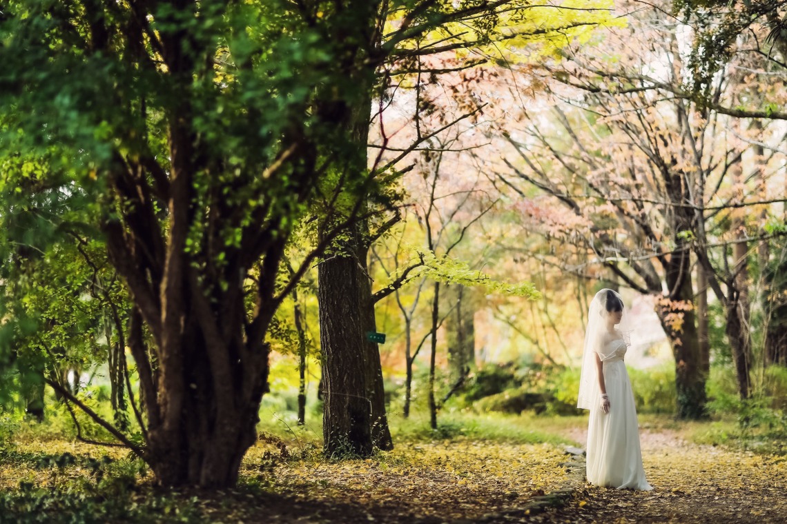 elle pupaが撮影した「京都（自然）」の写真