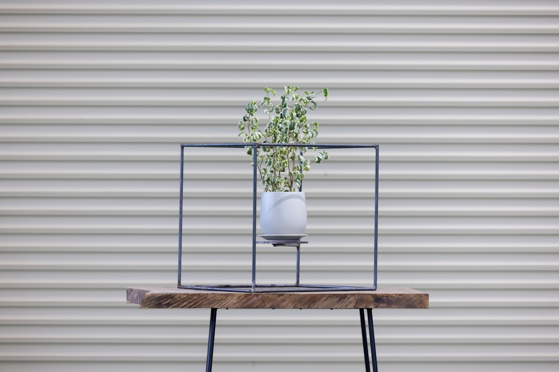 梅田　紫邑が撮影した「物撮り撮影」の写真