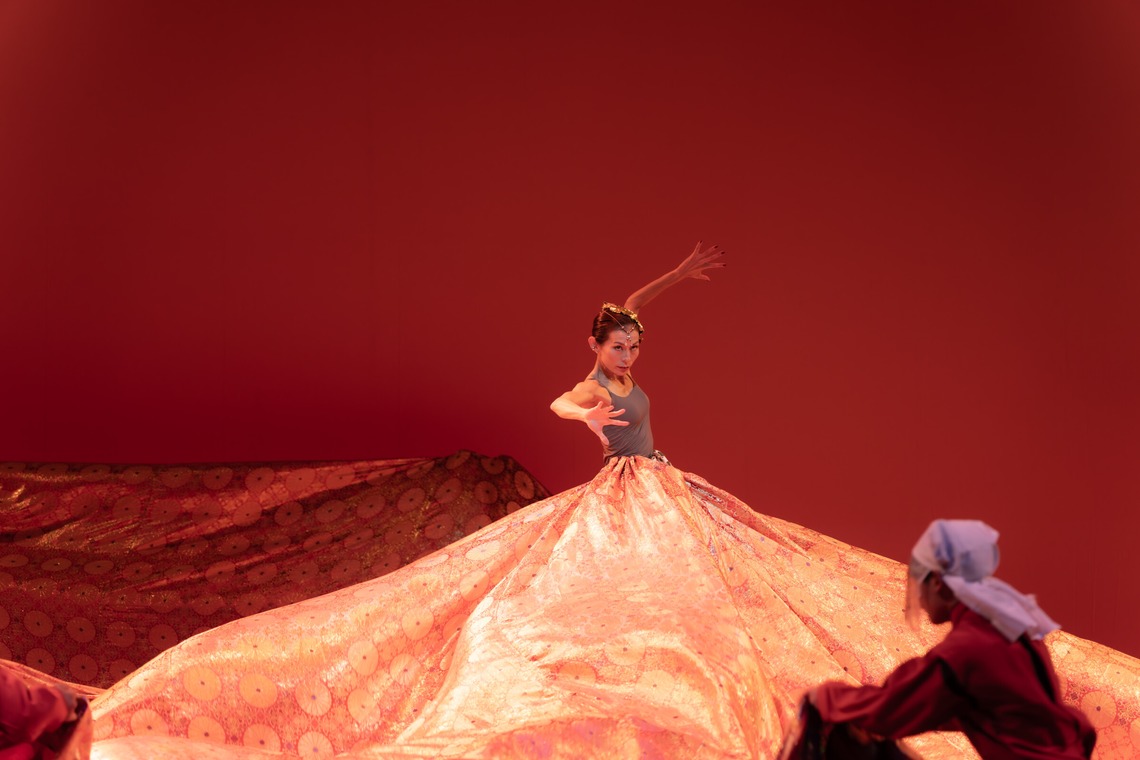 河野慈圓が撮影した写真のアルバム「イベント撮影」