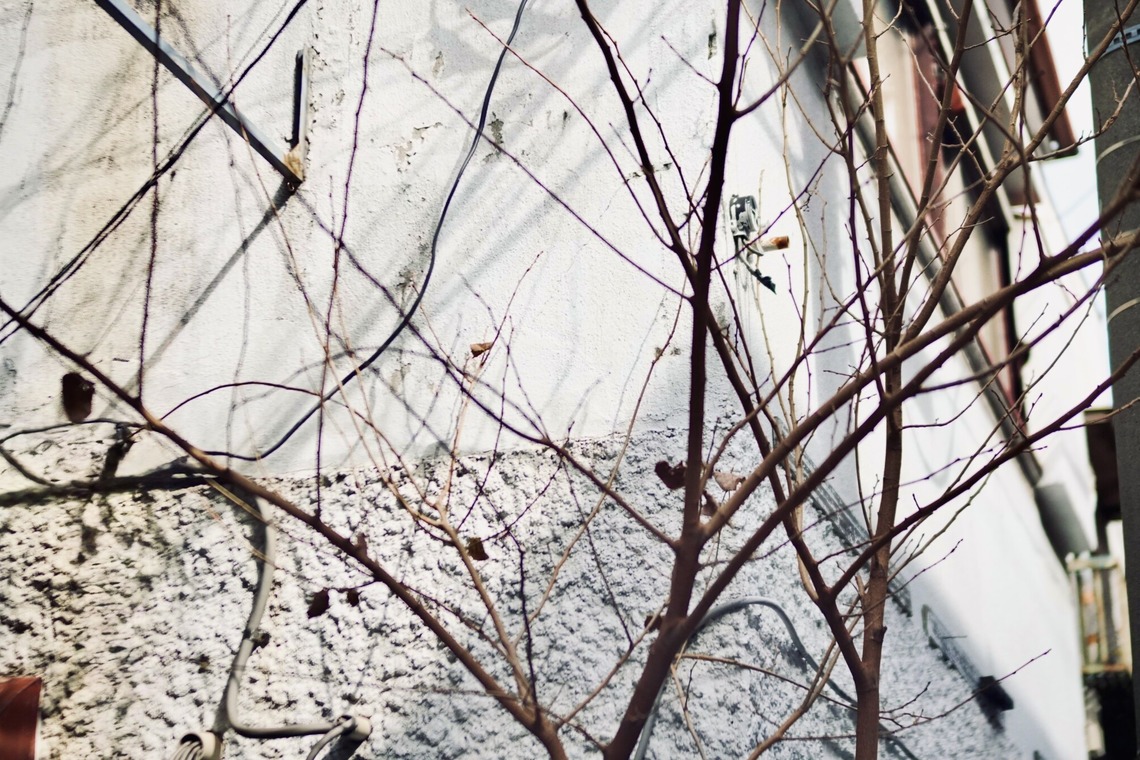 太和皇商事株式会社が撮影した写真のアルバム「Fx30」