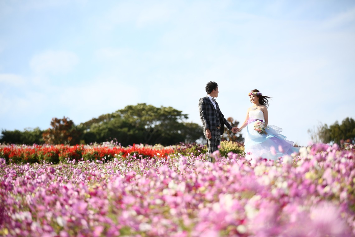 Album of the Location Photo Shoot taken by 酒井大輔 - Pre-wedding shoot