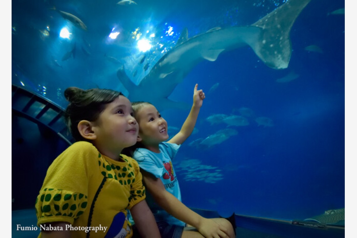 名畑文巨写真事務所が撮影した写真のアルバム「スクールフォト」