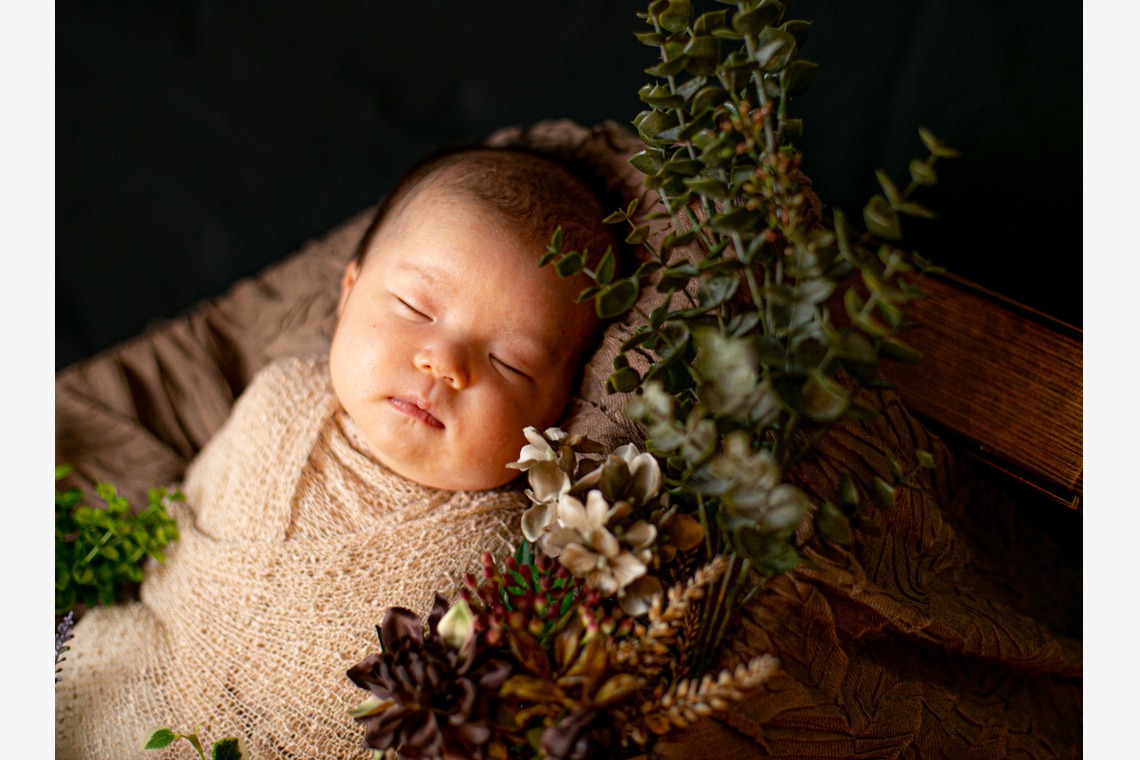 ゾクが撮影した写真のアルバム「ニューボーンフォト」