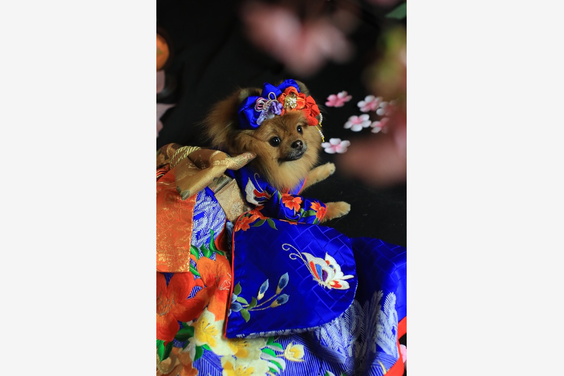 高橋 透（Coo&Sea STUDIO代表）が出張撮影した家族写真(キッズ,ベビーフォト)などが写った「お正月撮影会2020@新横浜Coo&Sea STUDIO」の家族写真