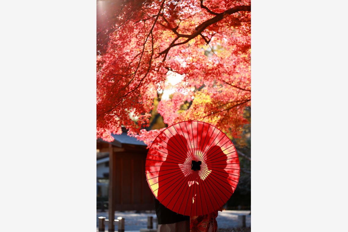 Hayashi Photo Worksが撮影した「京都フォト」の写真