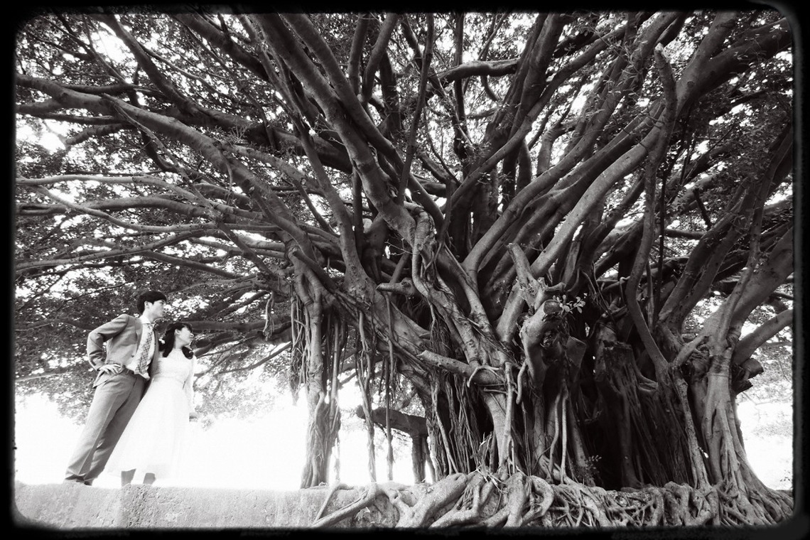 今泉真也が撮影した「ロケーション陸」の写真