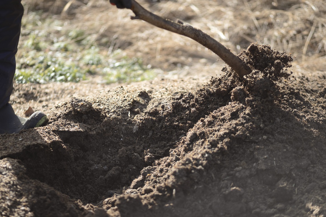 SHO HASEGAWAが撮影した「産地で働く（取材撮影）」の写真