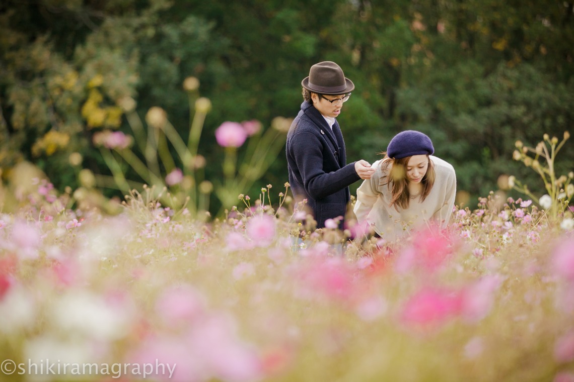 シキラマ グラフィーが撮影した写真のアルバム「紅葉・エンゲージメント」