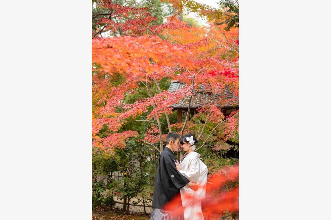 Photo of Japanese Prewedding album in Autumn taken by saruco(Hisashi Iwasaki)
