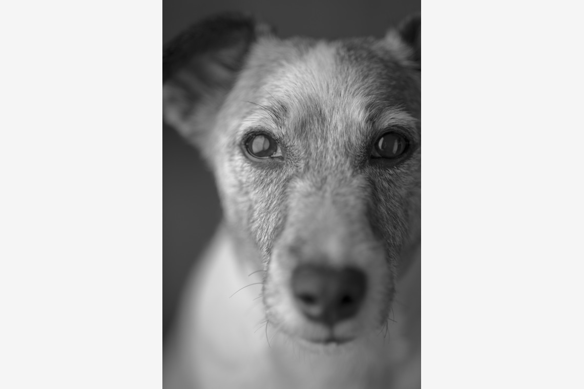 fotograz photography