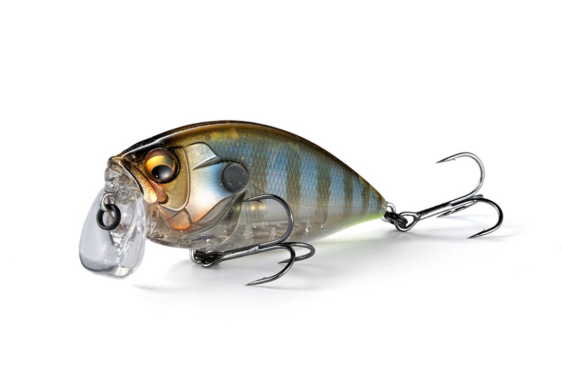 株式会社スタジオファースト