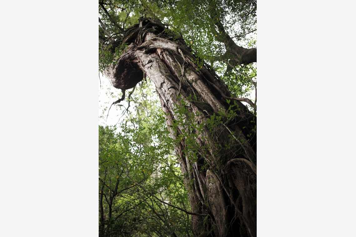 舘　典志が撮影した「風景」の写真