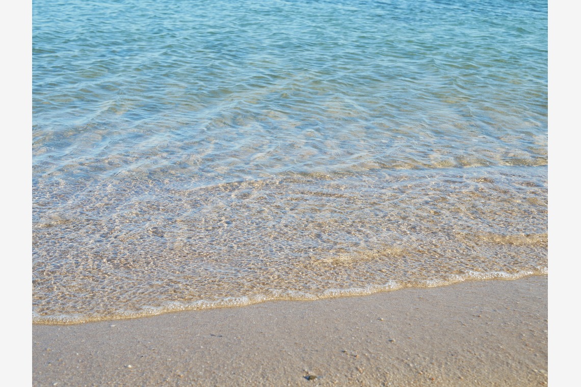 加藤が撮影した「下書き」の写真