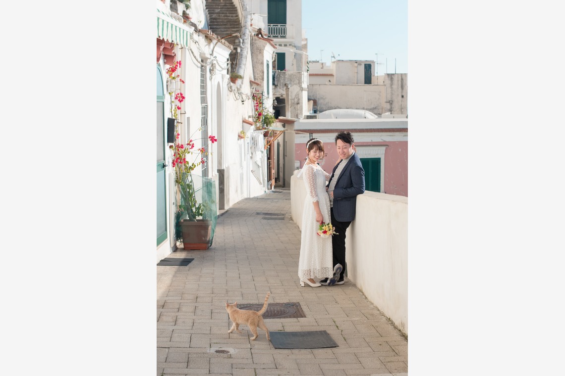 Album of the Wedding, Bridal taken by MOMO - 