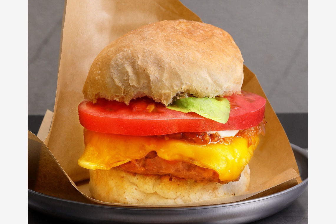 森安　照が撮影した写真のアルバム「ハンバーガー・ドッグ・サンド」