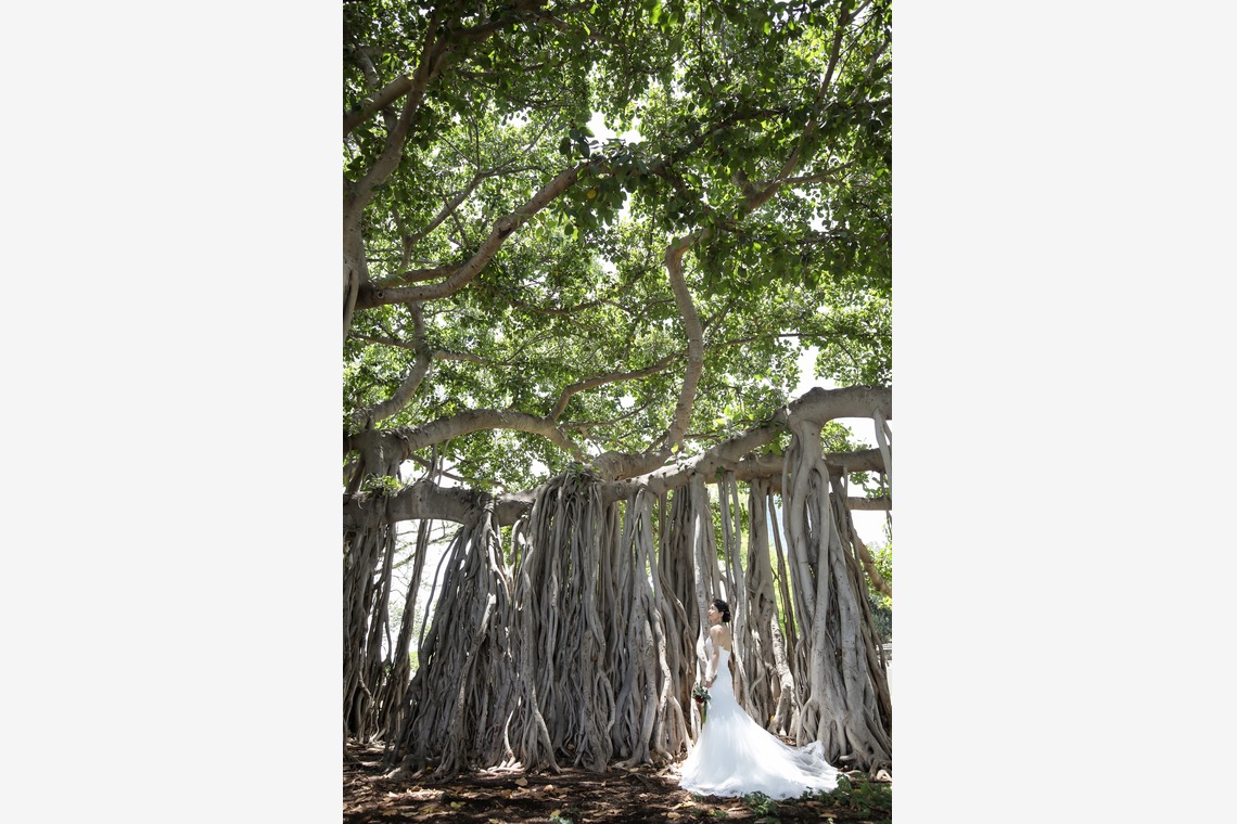 KEICO / テラケイコ