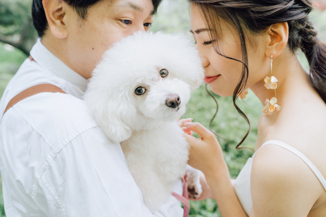 MIELQAが撮影した「ウエディング撮影_作例」の写真