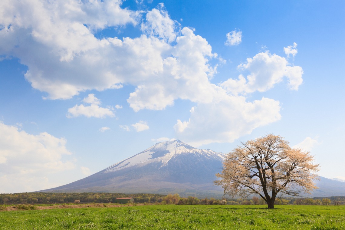 kentarou shimizuが撮影した「- magic realism -」の写真