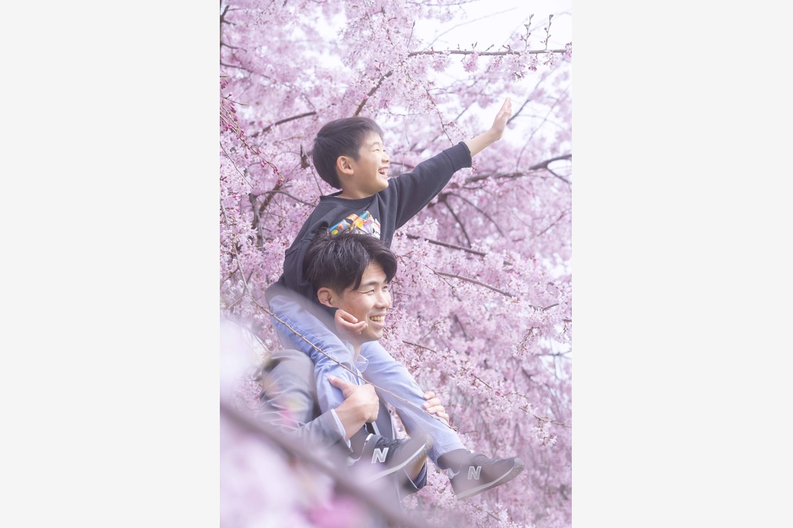 たきざわ めぐみが撮影した家族写真の出張撮影のアルバム「入学式」