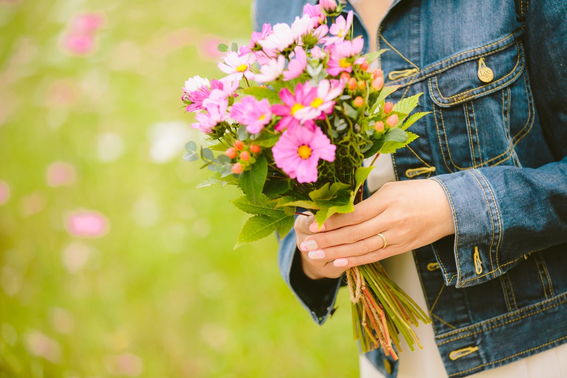 Photo of cosmos taken by KISA photography