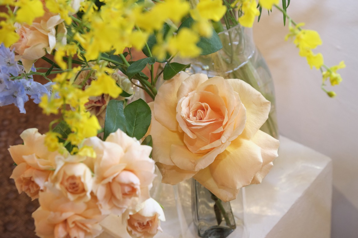 濱田茉里が撮影した写真のアルバム「日比谷花壇」