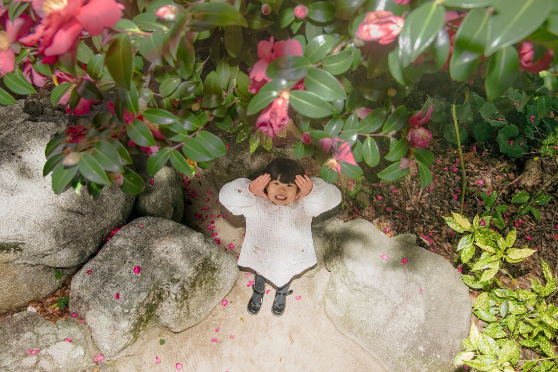 岩坪眞一郎が撮影した七五三フォトのアルバム「家族で七五三お宮参り」