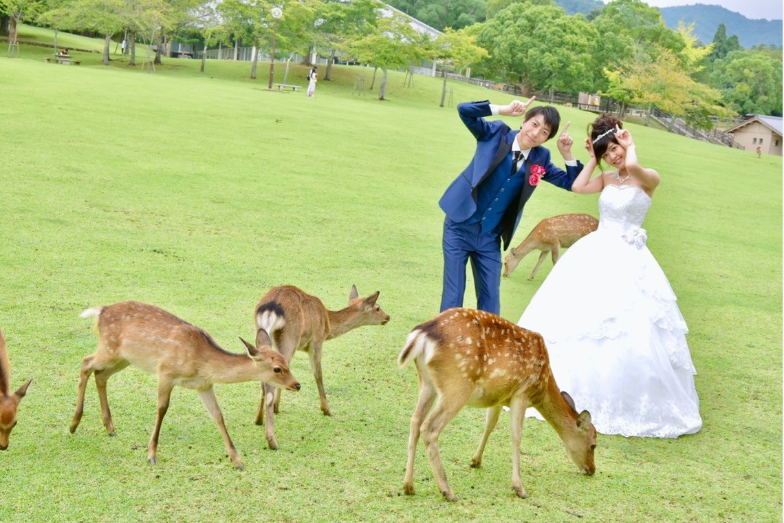 Album of the Wedding, Bridal taken by Kiki photo works - Pre Weddingphotoshoot at Nara