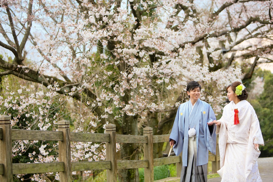 KIKIウェディングが撮影した写真のアルバム「海と桜」