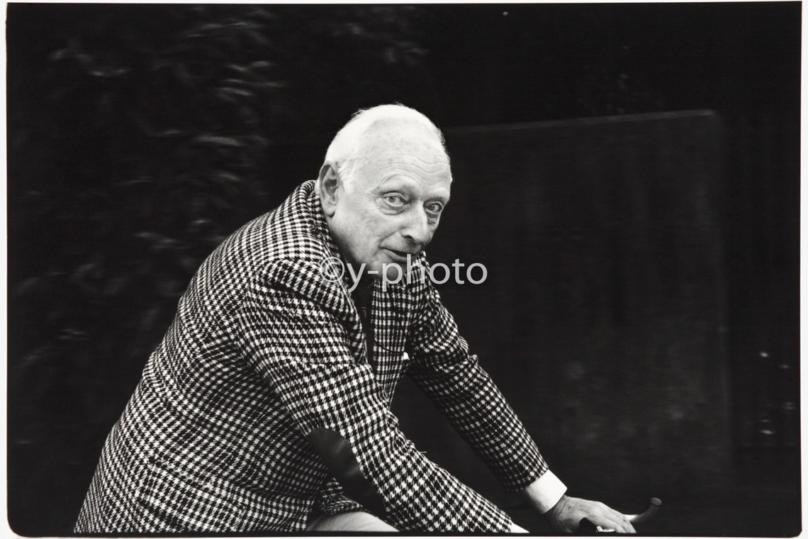 y-photoが撮影した「ポートレート_2」の写真