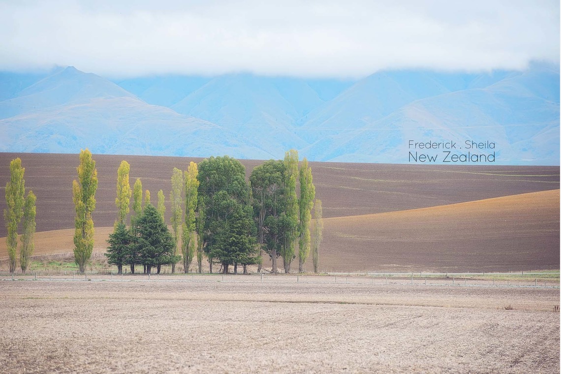 Album of the Wedding, Bridal taken by 2 of us photography - 