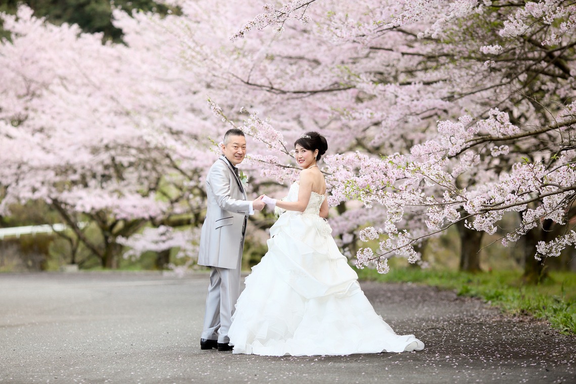 KIKIウェディングが撮影した写真のアルバム「桜　桜　桜」