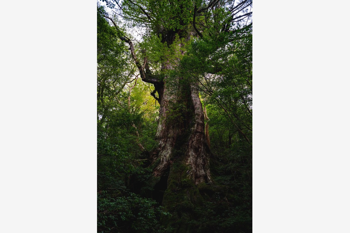 登 将紀が撮影した「観光・風景・旅行」の写真