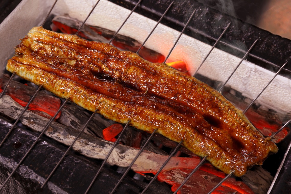 森安　照が撮影した写真のアルバム「うなぎ」