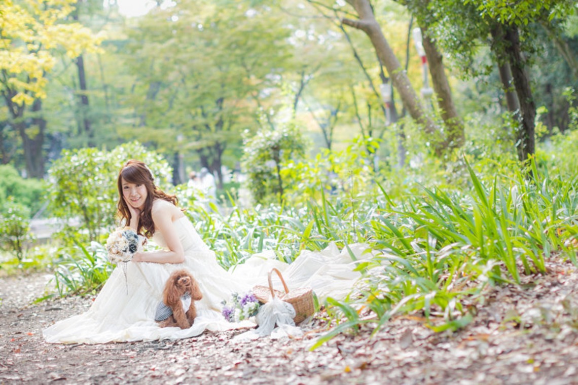 阿部写真館　大阪本町 靭公園前が撮影した写真のアルバム「緑のロケーション」